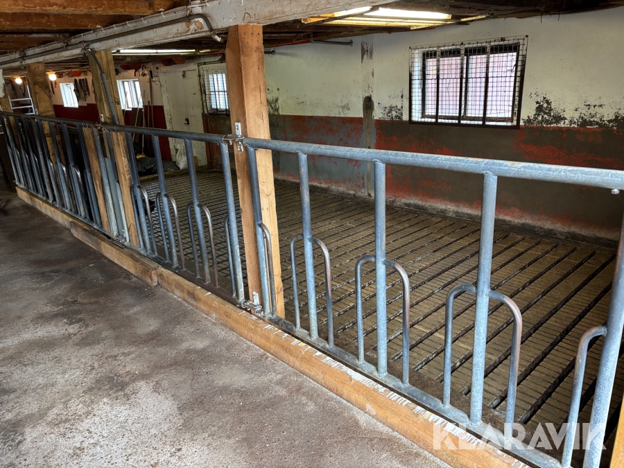 Gaffelfront ungdjur DeLaval 2000mm 8st