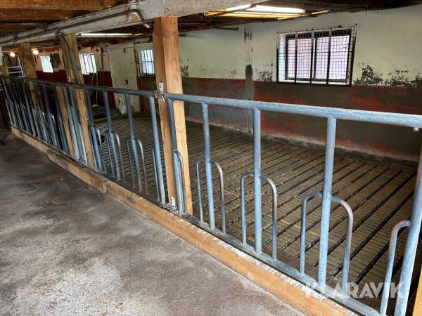 Gaffelfront ungdjur DeLaval 2000mm 8st