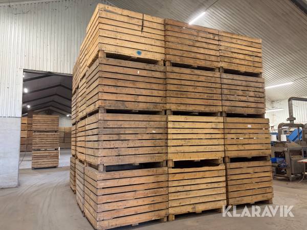 Potatislådor 60 st (storlådor 150x120x112 cm )