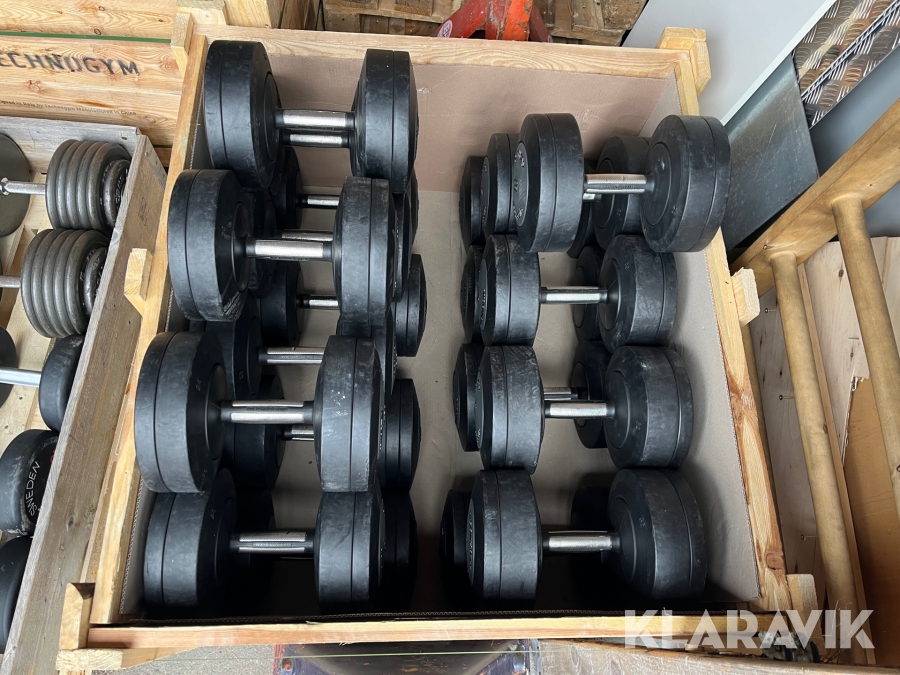 Gymutrustning hantlar Technogym 34-52 kg