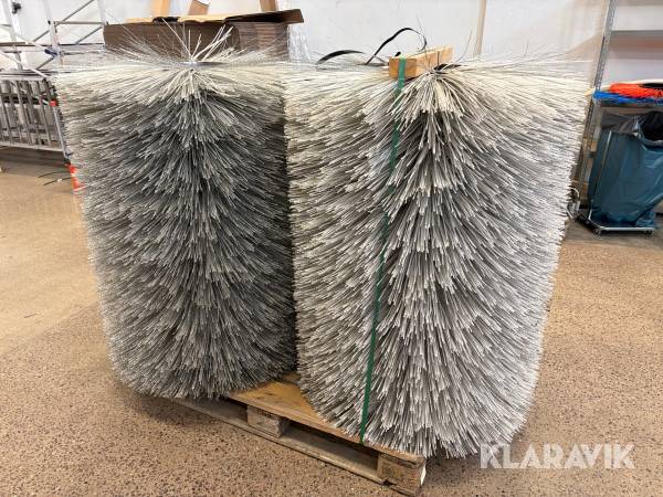 Borstvals Broddway Senior 2 st