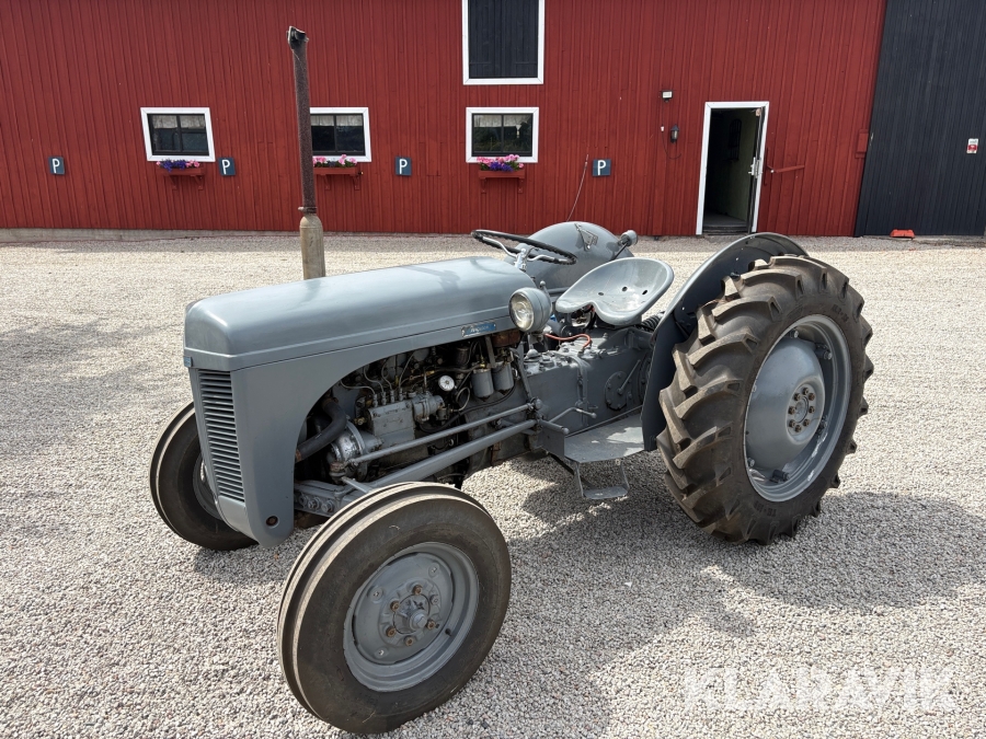 Veterantraktor Massey Ferguson