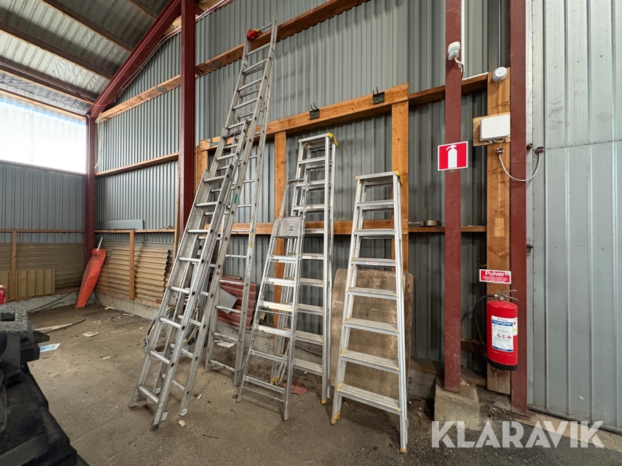 Parti med stegar Wibe och Bodafors