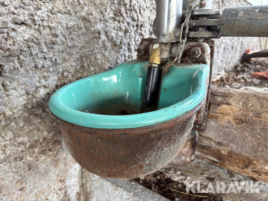 Vattenkoppar Suevia el-vattenkopp 7st