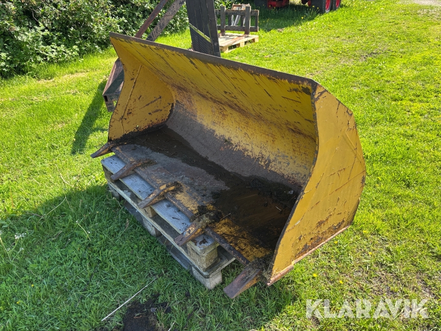 Tandskopa Venieri