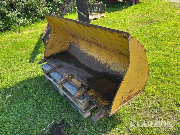 Tandskopa Venieri