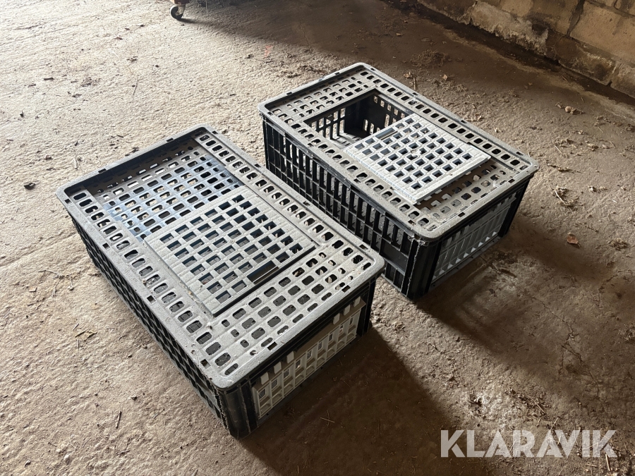 Transportlådor fjäderfä 21st