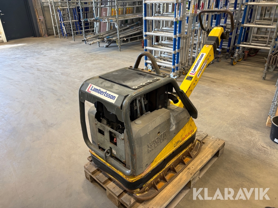 Markvibrator Wacker Neuson DPU 6555Hech