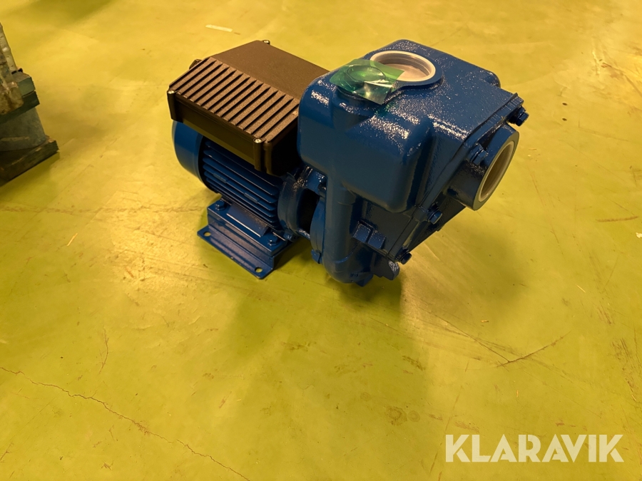 Vattenpump Speroni HGM 50-1,1