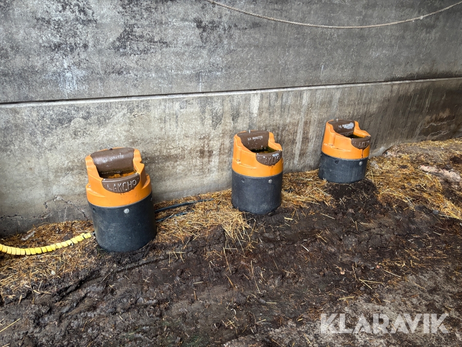 Elvärmda flotörvattenkoppar Lakcho 12st