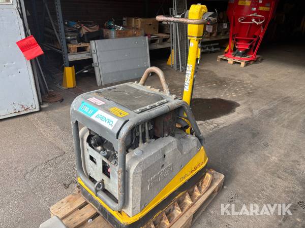 Markvibrator Wacker Neuson DPU 6555HE