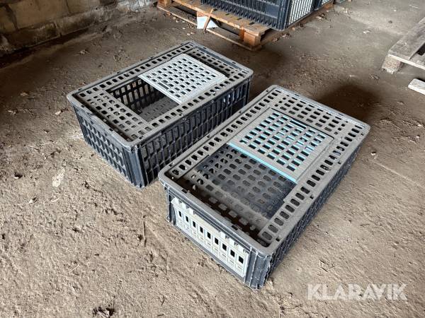 Transportlådor fjäderfä 20st