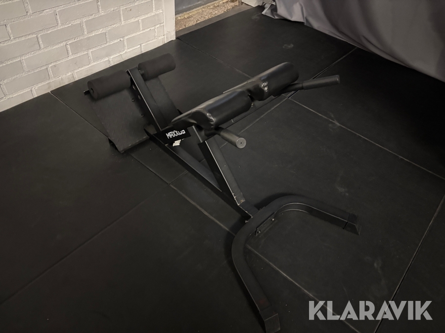 Gymutrustning Maxxus Backrest bench