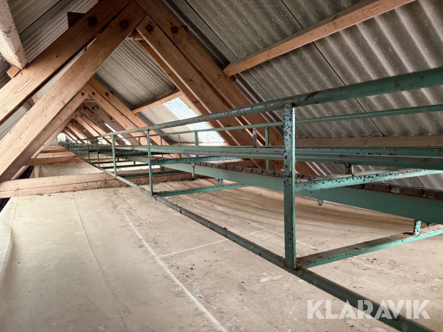 Balbana Duks 42 m