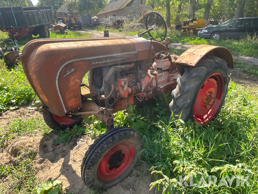 Veterantraktor Allgaier Porsche Diesel