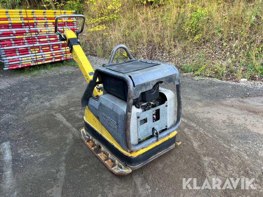 Markvibrator Wacker Neuson DPU6555 Hech