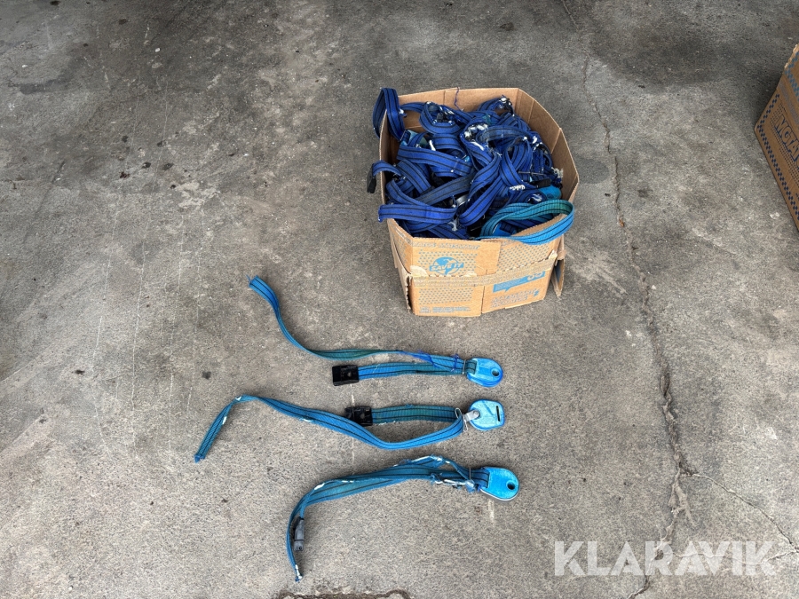 Transpondrar Alfa Laval med halsband ca 50st