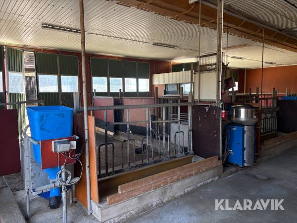 Inredning för kalvstall DeLaval