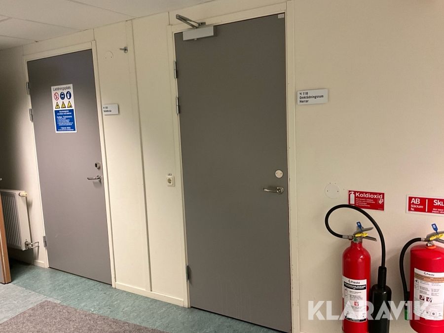 Innerdörr Swedoor med karm 2 st