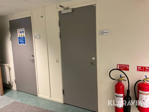Innerdörr Swedoor med karm 2 st