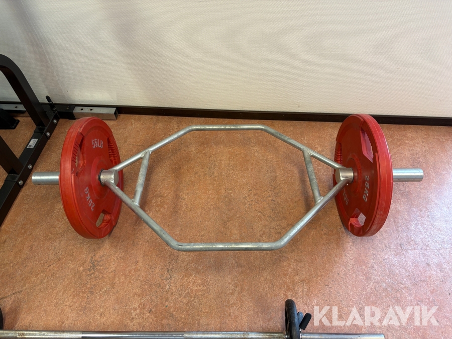 Träningsredskap skivstång för benböj vikter 25kg x2