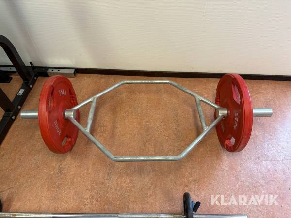 Träningsredskap skivstång för benböj vikter 25kg x2