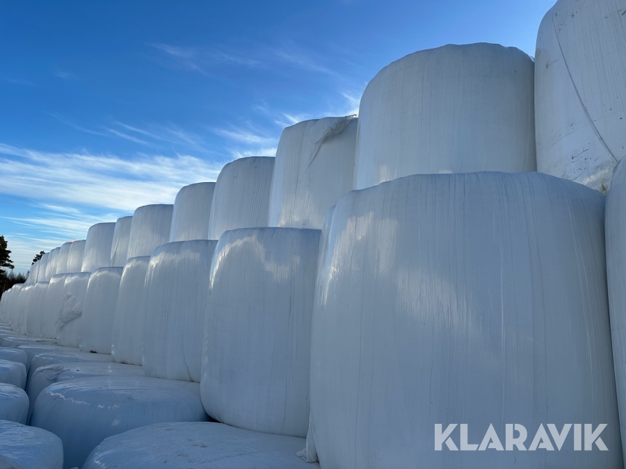 Ensilage i rundbal EKO tredje skörd 2025 50 st