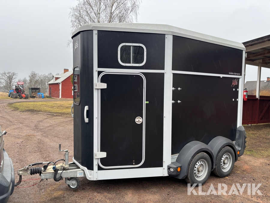 Hästtransport IFOR Williams HB506RVD