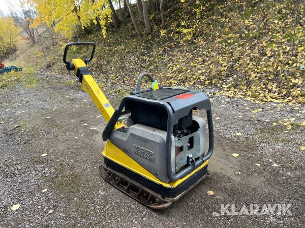 Markvibrator Wacker Neuson DPU 6555Hech