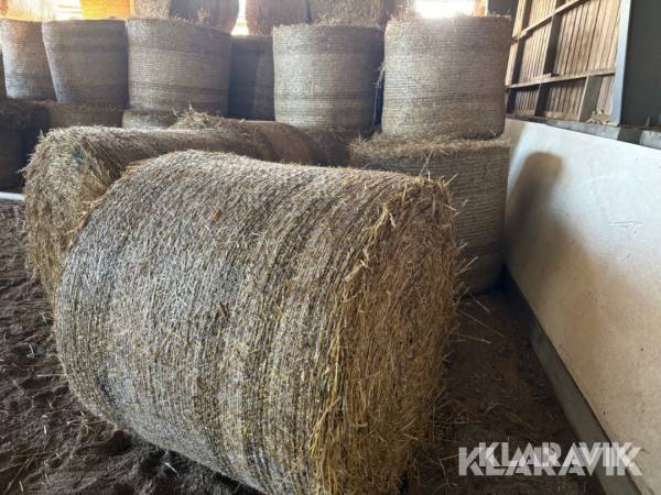 Halm / Halmbalar 50 st