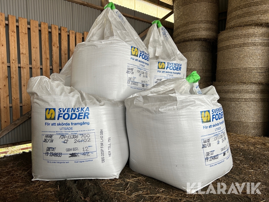 Utsäde Svenska Foder Havre (Delfin) - 4 st storsäck