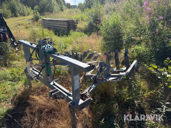 Markberedare Catrinelunds Skogsstjärna 2552