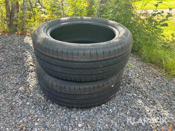 Däck Goodyear Eagle Fi 205/55R17 95Y