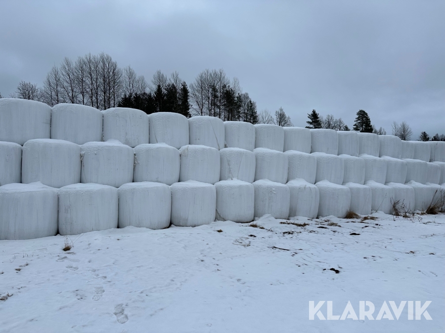 Helsädsensilage i rundbal Ekologiskt 50 st