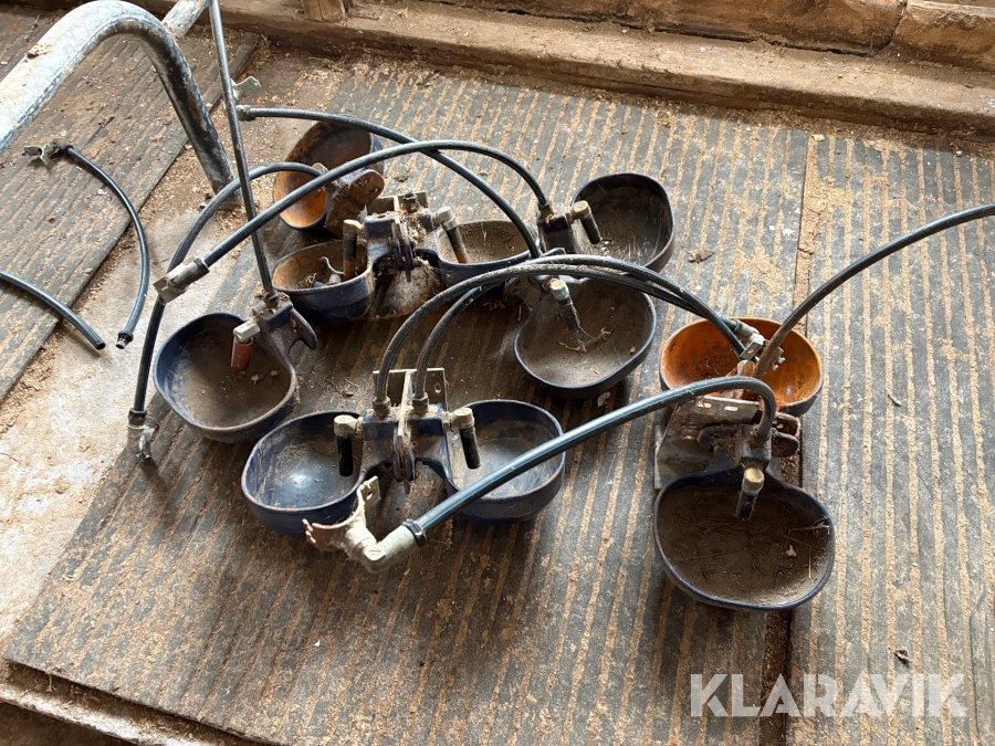 Vattenkopp i gjutjärn 10st