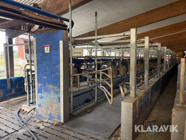 Mjölkgrop DeLaval MidiLine ML3100 16 st platser