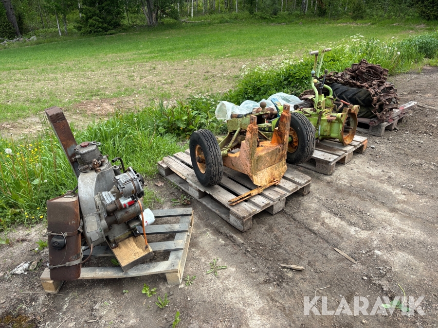 Agria drabant / norsk järnhäst