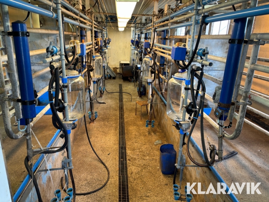 Mjölkgrop Alfa Laval Tandem 8 platser