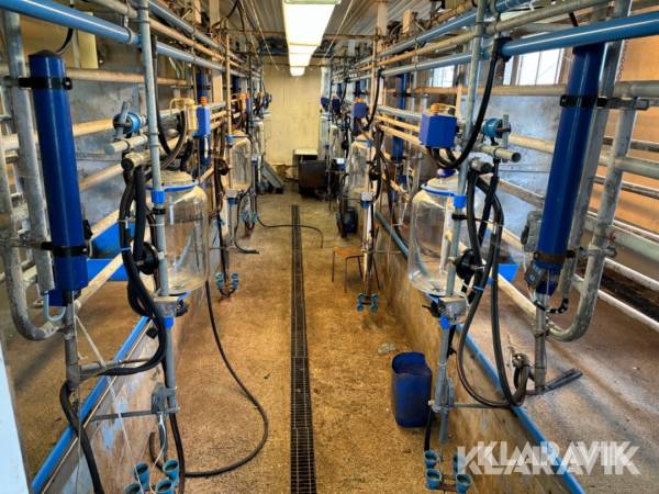 Mjölkgrop Alfa Laval Tandem 8 platser