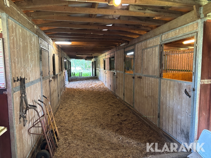 Hästboxar Cityboxen 13st 3x3m