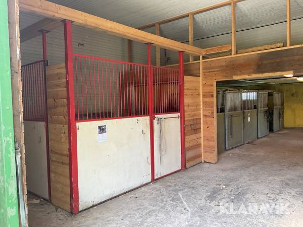 Hästboxar 4st