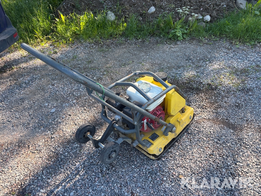 Markvibrator / Asfaltspadda Wacker Neuson WP1515aw med vattenanslutning