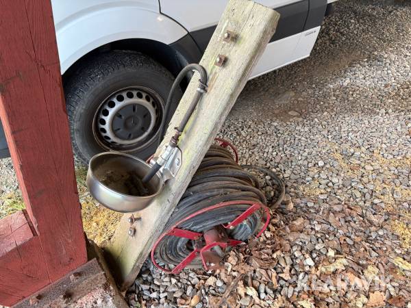Slangvinda Hardi med vattenkopp