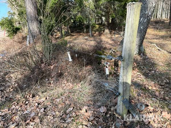Elstängsel ca 2000 m, rostfri, med stolpar