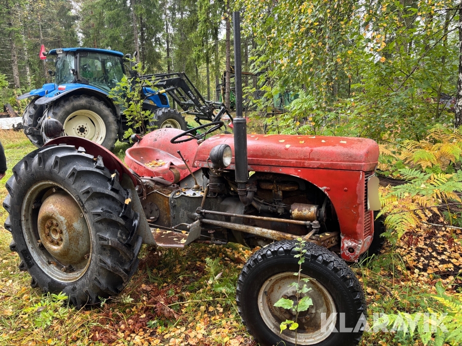 Veterantraktor Ferguson Grålle