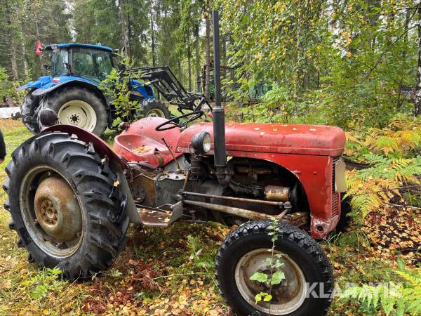 Veterantraktor Ferguson Grålle
