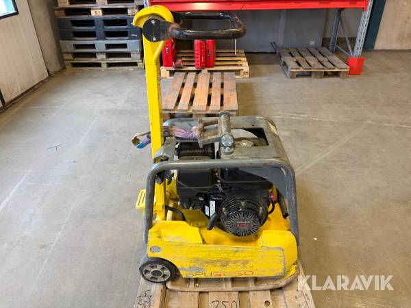 Markvibrator Wacker Neuson BPU 3050A