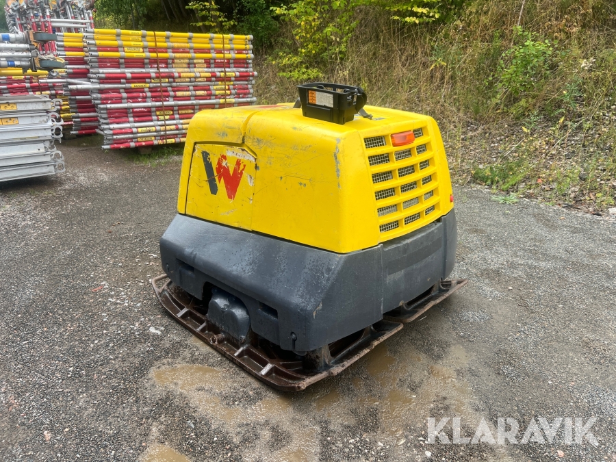 Markvibrator Wacker Neuson Dpu130