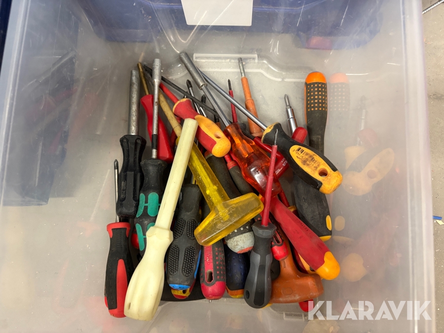 Skruvmejslar stjärna och slangmejslar