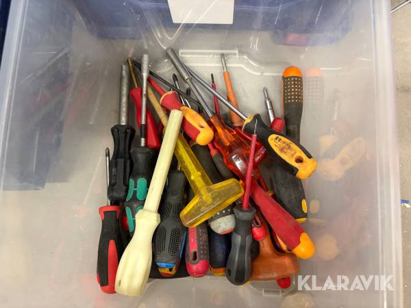 Skruvmejslar stjärna och slangmejslar